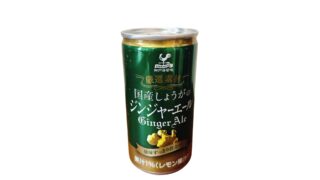 【辛口で本格的】業務スーパーのジンジャーエールを正直レビュー！味やウィルキンソンとの違いなど解説！